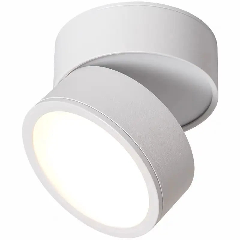 Oprawa sufitowa LED montowana na powierzchni z głowicą obrotowo-uchylną